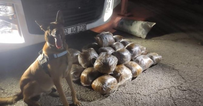 Osmaniye’de arpa yüklü tırda 40 kilo skunk ele geçirildi