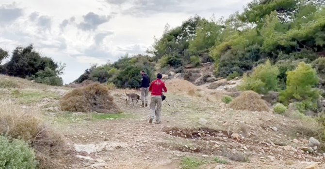 Sedanur’dan 275 gündür haber alınamıyor