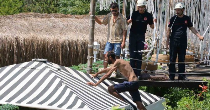 Antalya’da ‘Tarzan’ adam alarmı: Demirlere tırmandı, polislerden kaçıp şemsiyenin üzerine çıktı