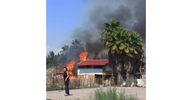 Hatay’da sahildeki 3 baraka ev alev alev yandı