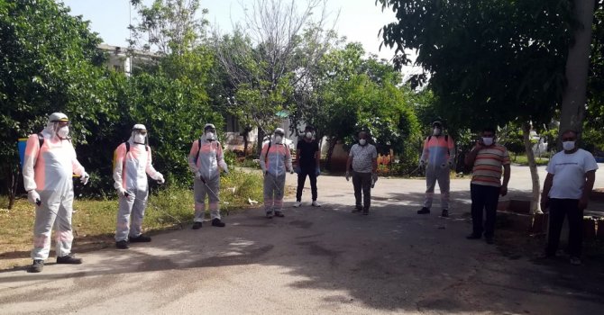 Karantina kahramanları