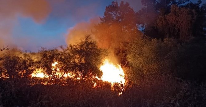 Hatay’da ağaçlık alan yangını söndürüldü