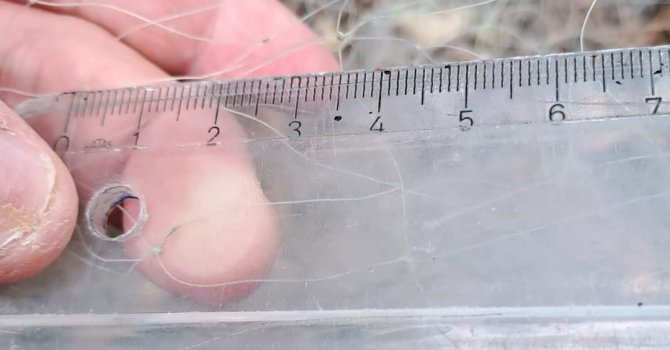 Isparta Eğirdir Gölü’nde kaçak balık avlayan 2 şahsa idari ceza uygulandı