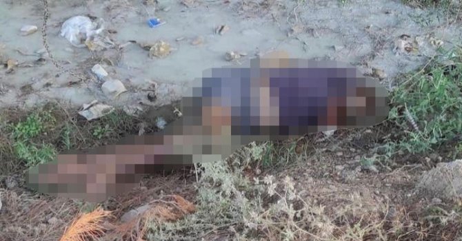 Dere kenarında kadın cesedi bulundu