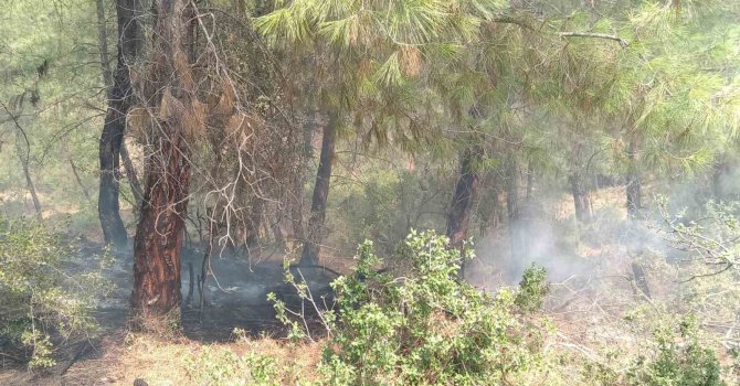 Kozan’daki orman yangını kontrol altına alındı