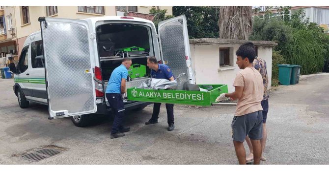 Alanya’da boş binanın bahçesinde erkek cesedi bulundu