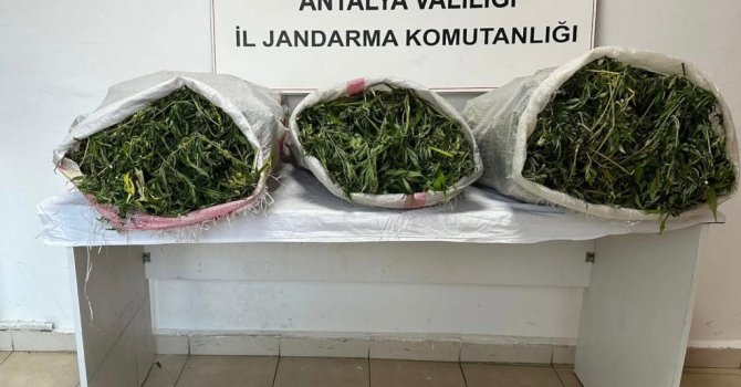 19 kilo 745 gram skunk maddesi ele geçirildi