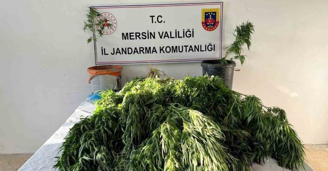 Mersin’de uyuşturucu satıcılarına operasyon: 3 gözaltı
