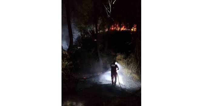 Adana’daki orman yangını büyümeden söndürüldü