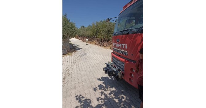 Mahsur kalan eşeği itfaiye kurtardı.