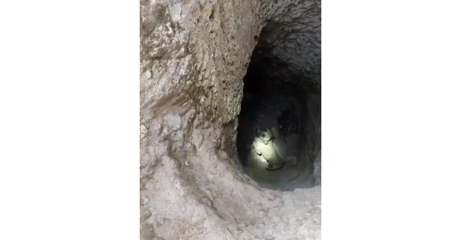 5 metre derinliğindeki kuyuya düşen köpeğin yardımına itfaiye ekipleri yetişti
