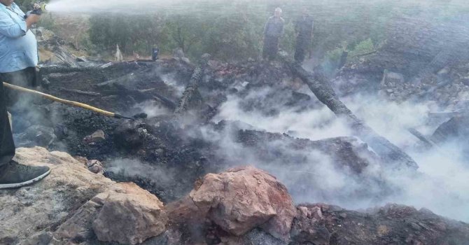 Feke’de ağıl yandı 60 keçi telef oldu