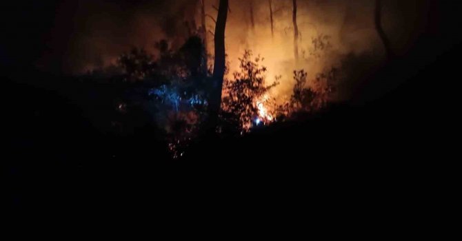 Adana’da aynı bölgede bir haftada ikinci orman yangını