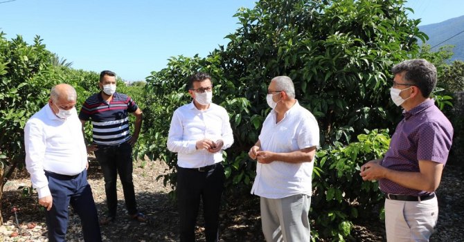 Atay Uslu, sıcak ve fırtınadan zarar gören bahçeleri inceledi