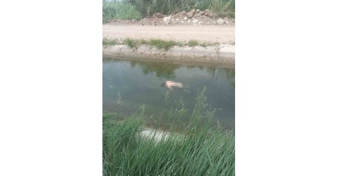Sulama kanalında kayboldu, 27 kilometre uzaklıkta cesedi bulundu