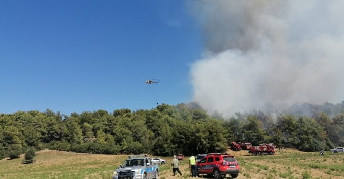 Manavgat’ta orman yangınına havadan karadan müdahale