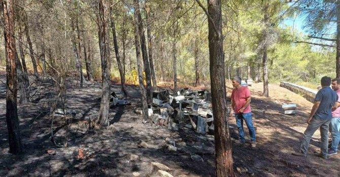 Mersin’deki orman yangını büyümeden söndürüldü