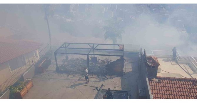 Otluk alanda çıkan yangın, milyon dolarlık villalara sıçradı