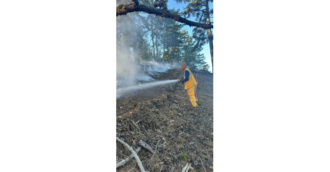 Feke yangını kontrol altında