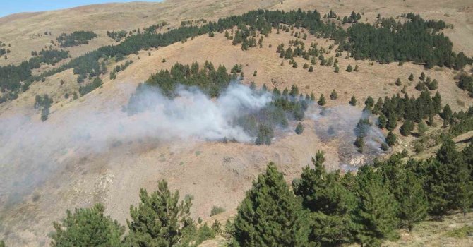 Isparta’da çıkan orman yangını kontrol altına alındı
