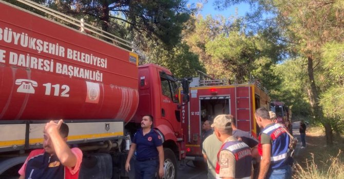 Erzin’de çıkan orman yangını söndürüldü