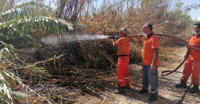 Antalya’da sazlık yangınına havadan ve karadan hızlı müdahale