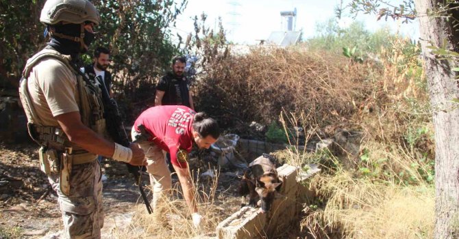 Antalya’da 300 polisle 15 adrese helikopter destekli eş zamanlı uyuşturu operasyonu