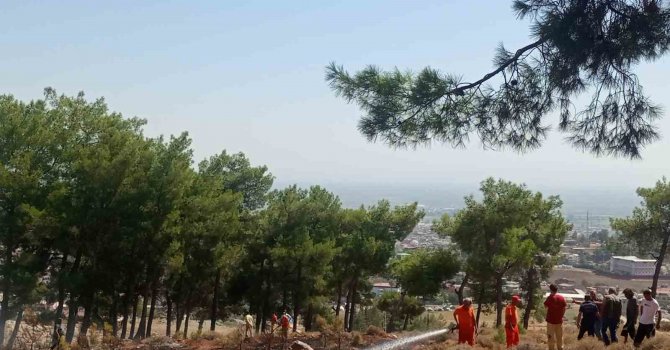 Hatay’da ormanlık alanda örtü yangını