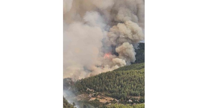 Alanya’daki orman yangını geniş bir alanda devam ediyor