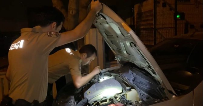 Gece yarısı, bekçilerden yavru kediyi kurtarma operasyonu