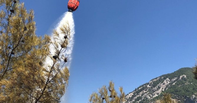 Adana’da orman yangını söndürüldü