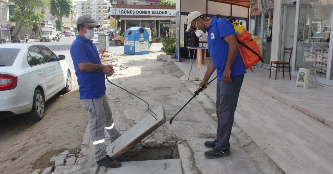 Sinekle yoğun mücadele sürüyor