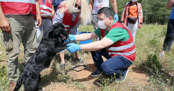 Tütüncü, sokak canlarının hep yanında