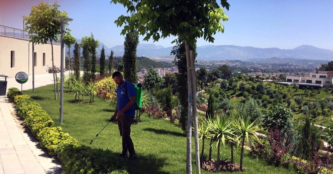 Türkbeleni Kent Parkı’na 12 bin 400 çiçek dikildi