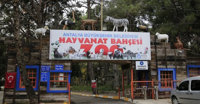 Ziyarete açılan Hayvanat Bahçesi yeni türleri ağırlıyor