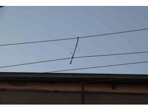 Elektrik telleri birbirine değmesin diye ‘ağaç dalı’ ile bağlanmış