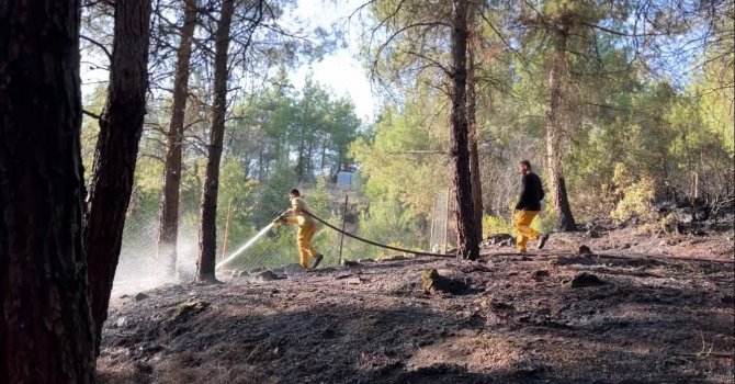 Burdur’da orman yangını ekiplerin hızlı müdahalesi ile söndürüldü