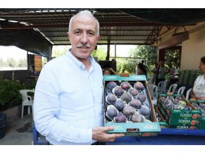 Akdenizli incir üreticilerine bilimsel destek