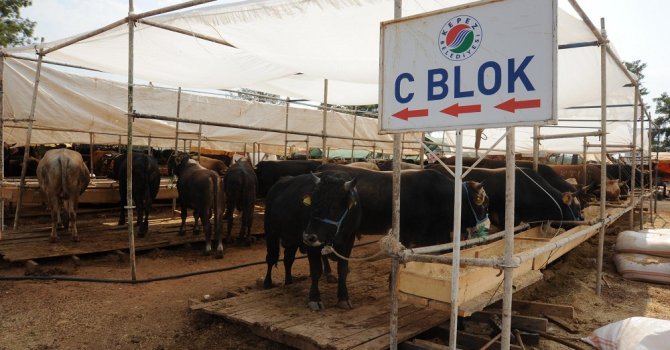 Kepez’in kurban satış yerleri belirlendi