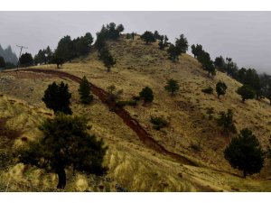 Asrın felaketinin kırsalda açtığı iz aylar sonra görüntülendi