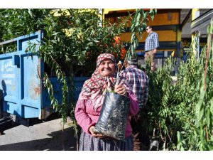 Mersin’de üreticilere badem fidanı desteği