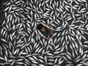 Akdeniz Belediyesinin ’3. Uluslararası Fotoğraf Yarışması’ sonuçlandı