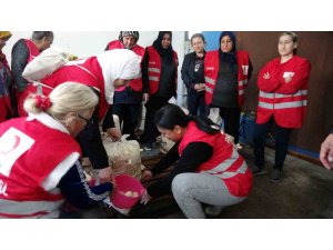 Dezavantajlı kadınlar istiridye mantarı üreterek kazanıyor