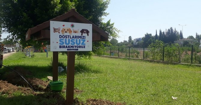 Kepez’den can dostlara ahşap, gölgelikli mama ve su istasyonu