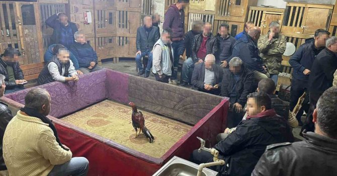 Horoz dövüşüne polis baskını