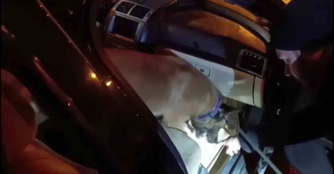 Baklava kutusuna gizlenen uyuşturucu hapları “Hulk” buldu