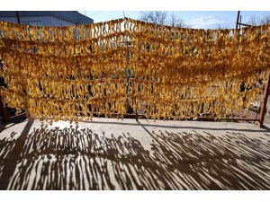 Meyvesi yüz güldürmedi kabuğu altın oldu