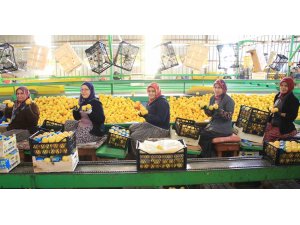 Hasattan paketlemeye her alanda kadınlar mesaide