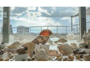 Türkiye’de bir ilk olan ‘Müze Belediye’ açılıyor