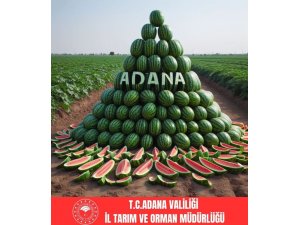 Adana karpuz üretiminde Türkiye’de birincisi oldu